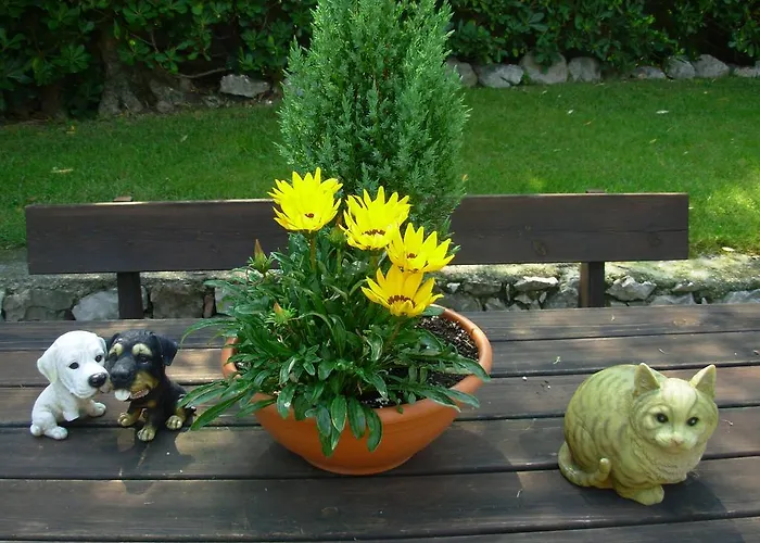 Due Leoni - Apartmanhotel 3*